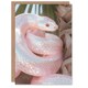 image 1 of Bright Shiny Pink Snake Coiled Under Palm Tree Birthday Greeting Card