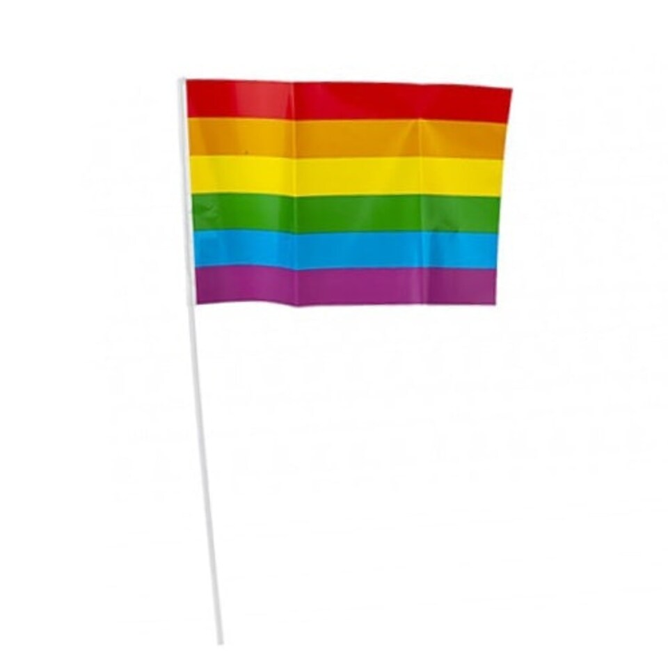 Rainbow Pride Plastic Hand Flag on Stick 30cm - Pack of 5