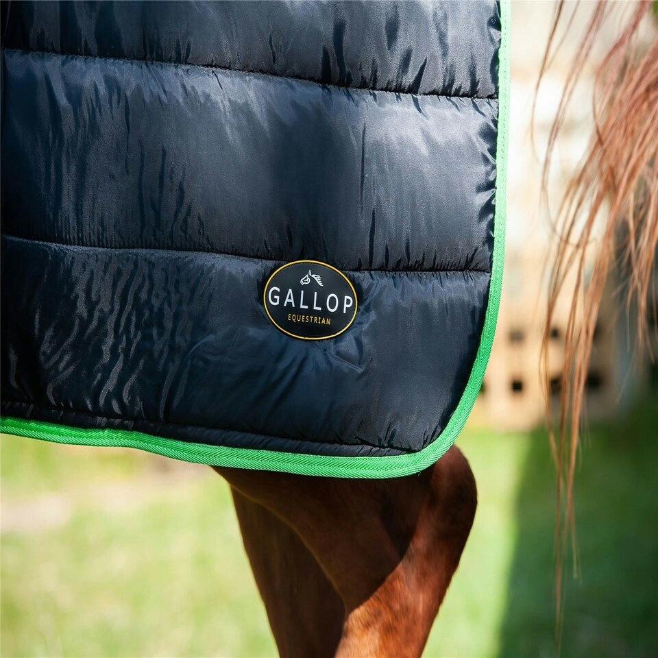 image 1 of Gallop Equestrian Trojan Dual 300 Stable Rug & Neck Set Clear | Size: 5ft 9
Colour: Black