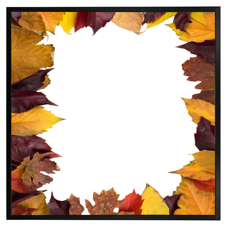 image 1 of Orange & purple autumn (Picture Frame) Grey | M