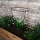 image 2 of Tom Chambers Urban Green Conical Garden Plant Support Ring 30cm -  Medium