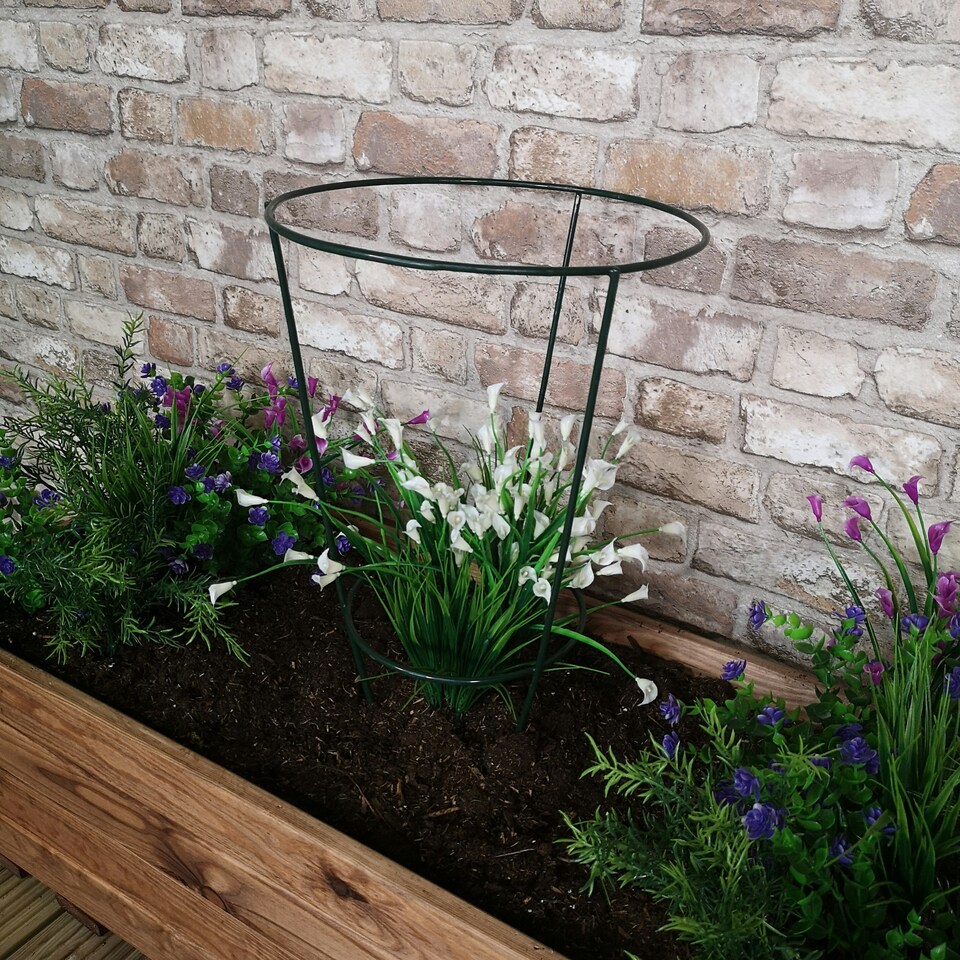 image 1 of Tom Chambers Urban Green Conical Garden Plant Support Ring 30cm -  Medium