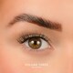 image 2 of House Of Amor - Eyelash Extensions - Volume 3 - Pre Mapped Multipack -