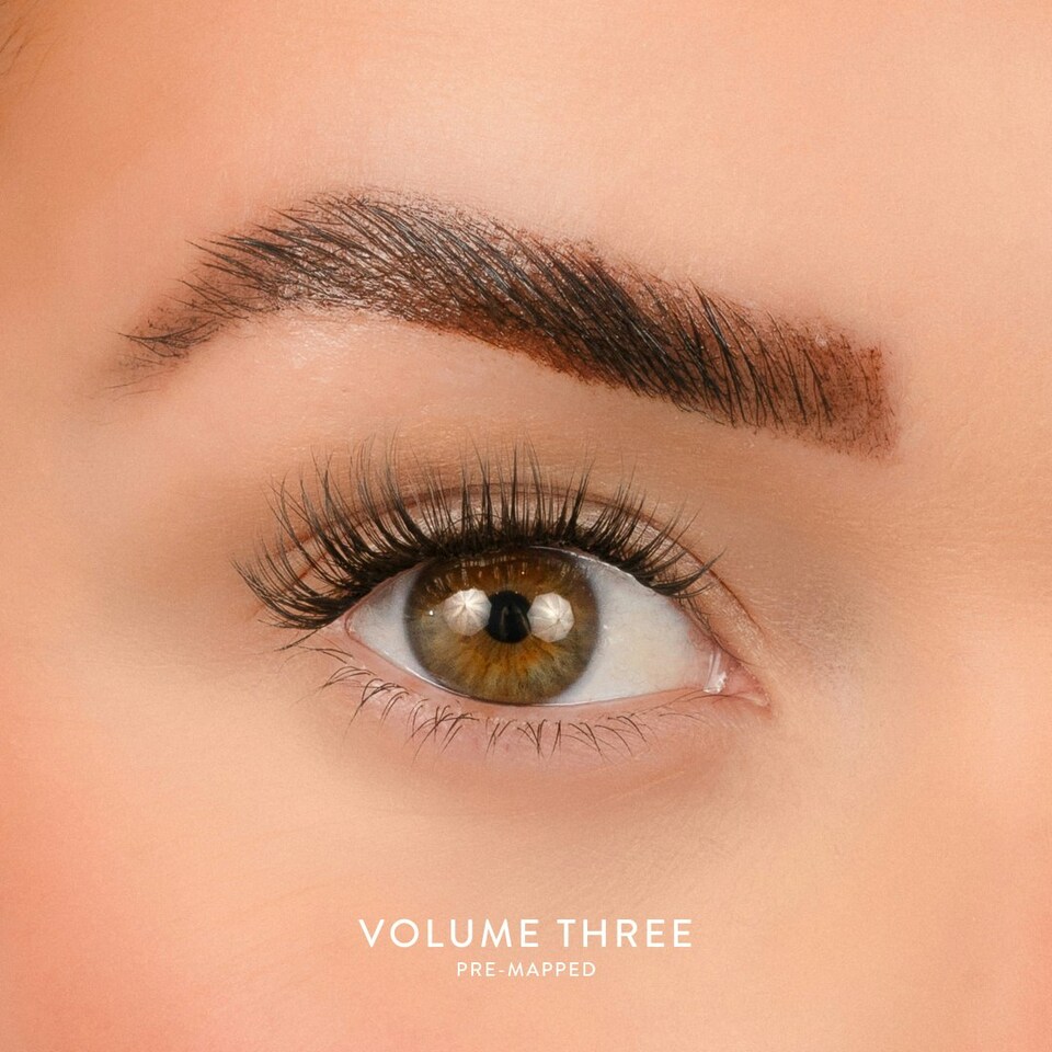 image 1 of House Of Amor - Eyelash Extensions - Volume 3 - Pre Mapped Multipack -