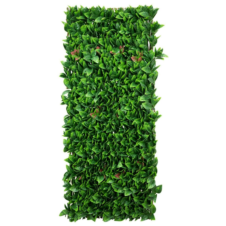 image 1 of Primrose Extendable Artificial Flower Outdoor Screening Trellis Black 1m x 2m