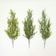 image 2 of Homescapes Artificial Trailing Plants Set of 3, 70cm
