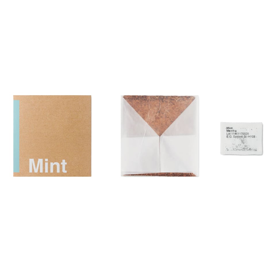 image 1 of MidOcean Mint Herb Seeds | Brown | Beige | One Size | 1