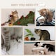 image 7 of PawHut 3PC Wall Mounted Cat Tree Climbing Shelf Set with Scratching Post Oak