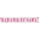 image 2 of Apac Girls Happy Birthday Banner - Silver/Pink - One Size