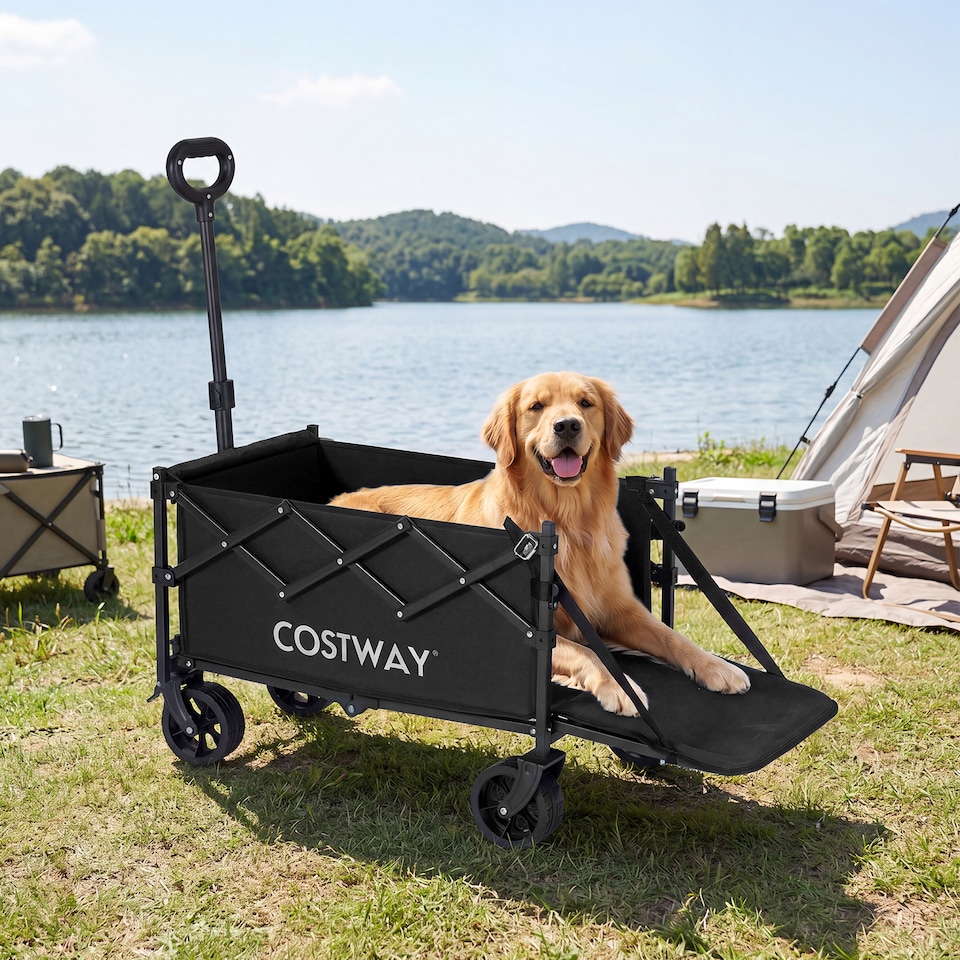 image 1 of Foldable Transport Trolley 63-92L with All-Terrain Wheels