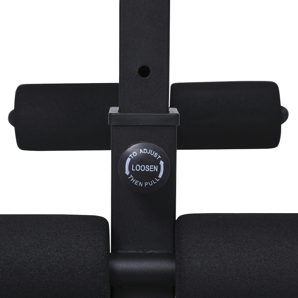 image 1 of HOMCOM Multi-Functional Sit-Up Dumbbell Weight Bench Adjustable Home Gym