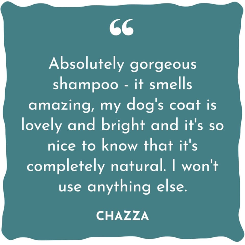 image 1 of WildWash Concentrated Dog Shampoo for Light Coloured Coats 300ml