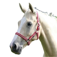 Wessex Horse Headcollar - Red/Silver - Full