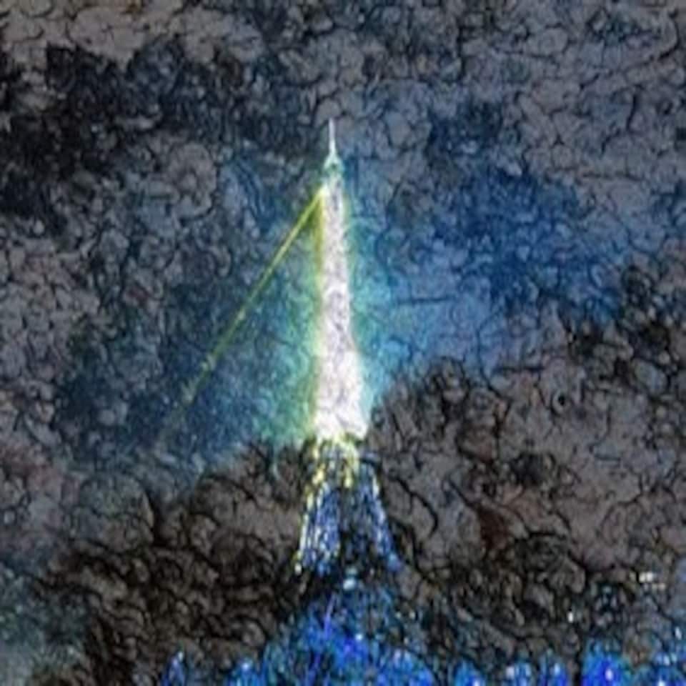 image 1 of Eiffel Tower Bark (Canvas Print) 24" x 16"