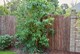 image 2 of Primrose Natural Bark Screening Garden Fence Privacy Roll Sun Protection 4m x 1.8m | Brown