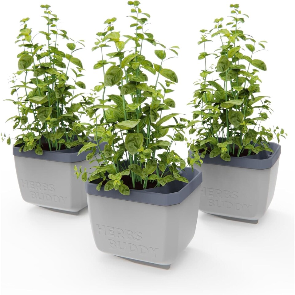 image 1 of GUSTA GARDEN Herbs Buddy - Self-Watering Pot & Herb Pot for Kitchen & Windowsill, Ideal for Basil, Water Tank, Water Level Indicator (3units - Light Grey)