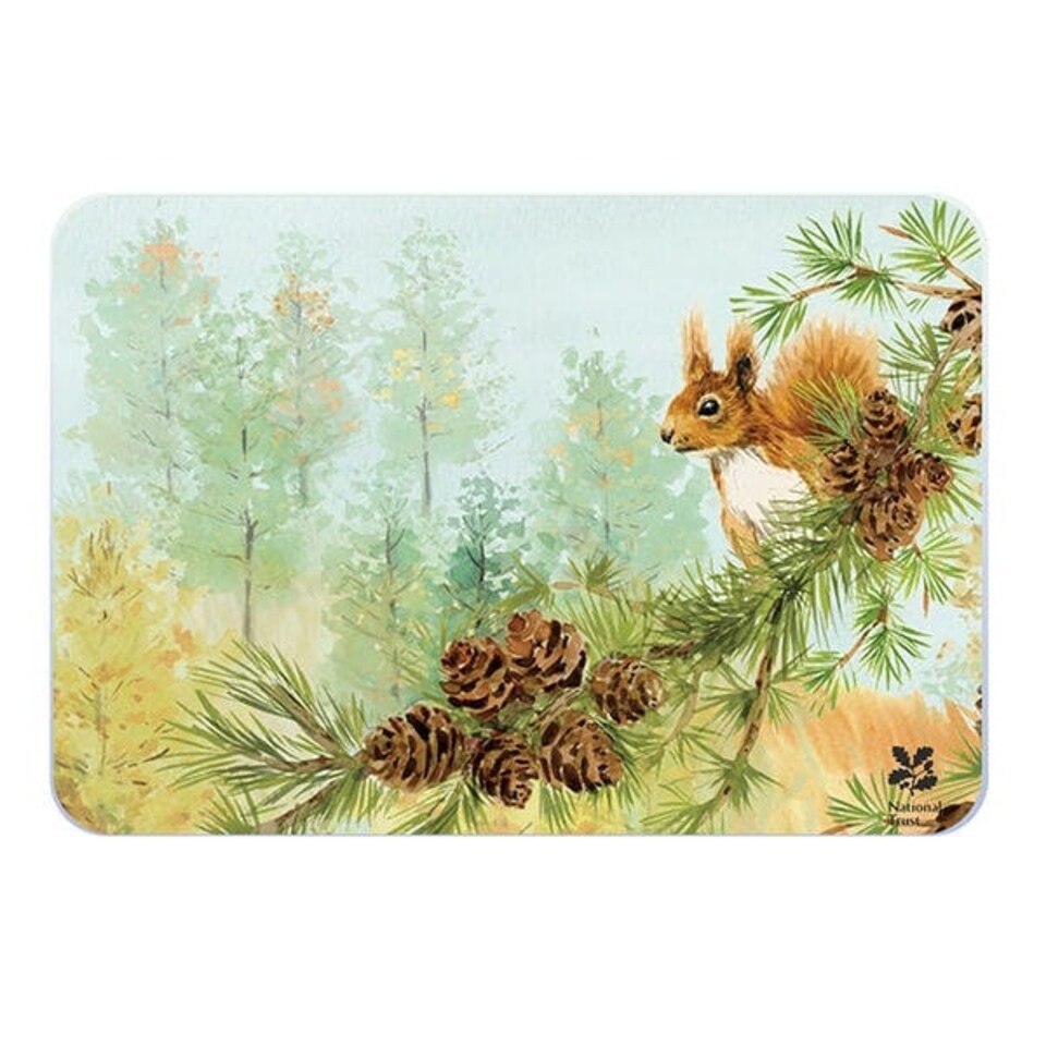 image 1 of National Trust Red Squirrel Medium Worktop Protector 30 x 40cm
