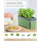 image 3 of Gusta Garden Harry Herbs 4-in-1 herb pot blue - plant pot - removable lid & self-watering system - 0.5L water reservoir & 5L soil capacity