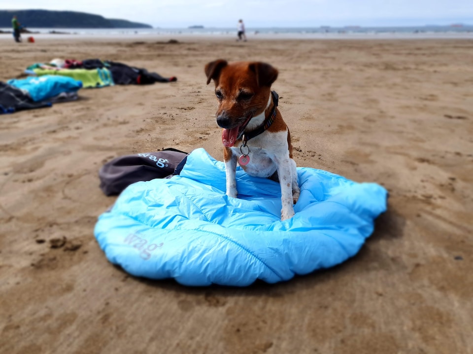 image 1 of Henry Wag Alpine Travel Snuggle Pet Bed