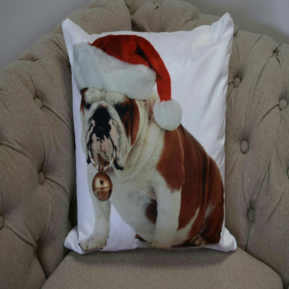 image 1 of Bulldog Bouble Cushion Cover with Cusion Pads (43x43 cm) Multi Multi