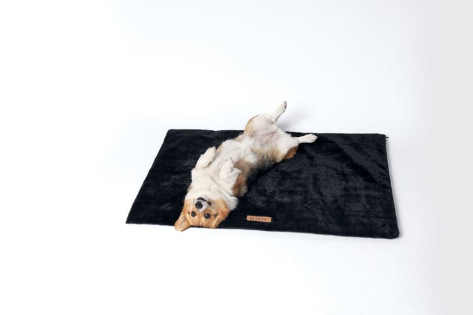 image 1 of M-PETS WARMO Self Heating Mat M