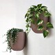 image 1 of GEEZY Milly Wall Flowerpot Set Plastic Planters Brown 2 Pack