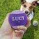 image 2 of Pre-Personalised Dog Ball Gift Pack 2pcs Purple Lucy