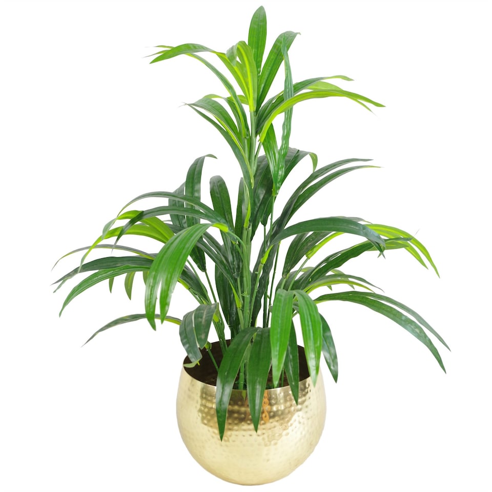 image 1 of Leaf Large Metal Planter 22 x 18cm Hammered Brass Gold Colour - Straight Edge | Gold