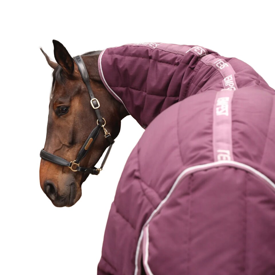 image 1 of Tempest Original Combo Neck Horse Stable Rug & Neck | Red | Burgundy | 6Ft | 1