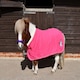 image 1 of Rhinegold Unicorn Embroidered Fleece Rug Blue | Colour: Aqua
Size: 3ft 9