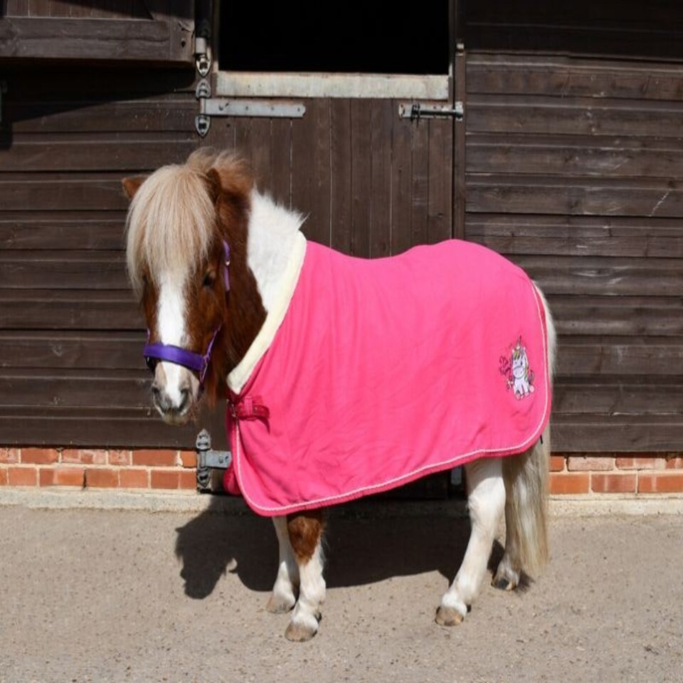 image 1 of Rhinegold Unicorn Embroidered Fleece Rug Blue | Colour: Aqua
Size: 3ft 9
