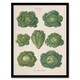 image 1 of Ernst Benary Savoy Cabbages Vintage Botanical Framed Wall Art Picture Print A4