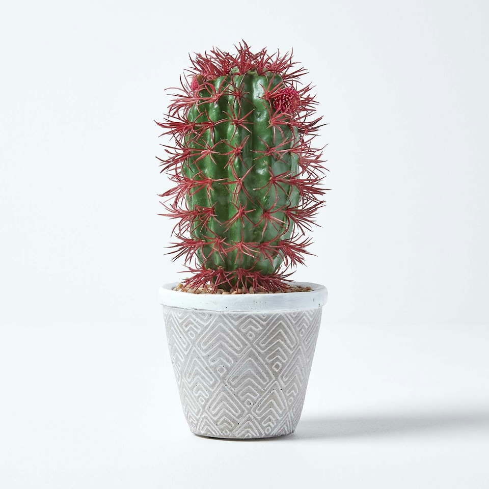 image 1 of Homescapes Denmoza Artificial Cactus with Flowers in Patterned Pot, 25 cm Tall
