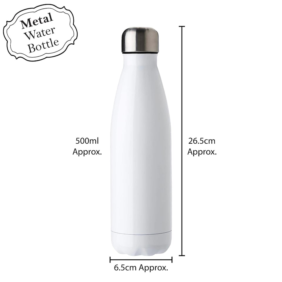 image 1 of Swimming Reusable Metal Water Bottle