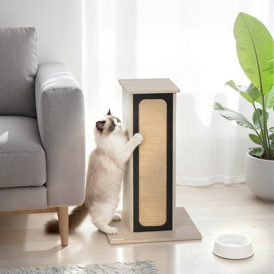 image 1 of PawHut Cat Scratching Post, 63 cm Tall Scratcher with Replaceable Scratching Board, Top Perch, Natural Sisal Scratch Mat, for Large Cats and Kittens, Oak