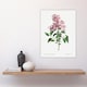 image 4 of Chinese Lilac Floral Redoute Vintage Huge Wall Art Print 18X24 In