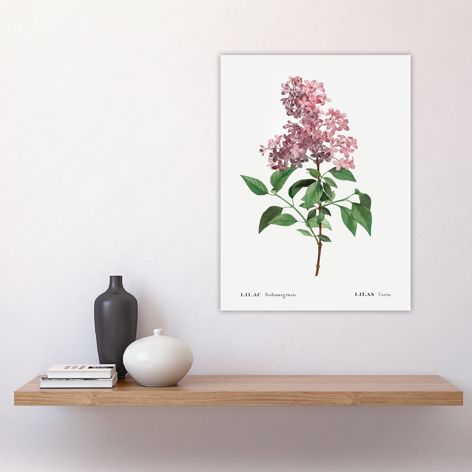 image 1 of Chinese Lilac Floral Redoute Vintage Huge Wall Art Print 18X24 In