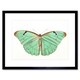 image 1 of Turquoise Butterfly Retro Vintage 9x7" Black Framed Wall Art Print