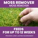 image 2 of Vitax Moss Remover 100 square meter Tub Lawn Fertiliser for Moss Removal & Feeding Greener Lawn No Rake 12 Week Feed UK Lawn Coe