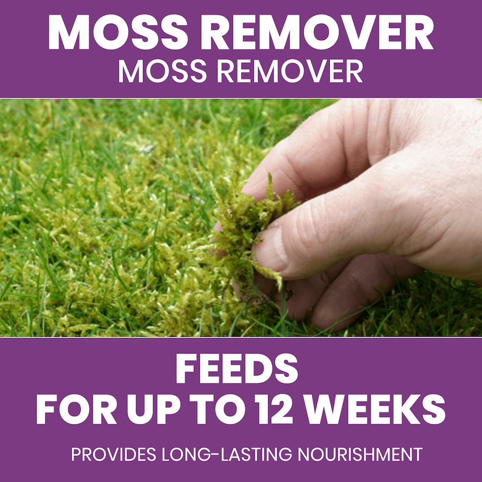image 1 of Vitax Moss Remover 100 square meter Tub Lawn Fertiliser for Moss Removal & Feeding Greener Lawn No Rake 12 Week Feed UK Lawn Coe