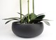image 4 of Orchid Artificial Yellow Black Ceramic Planter Botanik