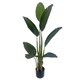 image 1 of Artificial 120cm UV Traveller Banana Palm Tree | Green | 4ft