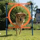 image 1 of K9 Pursuits Pet Dog Agility Training Jumping Ring Hoop Hurdle Outdoor Fun