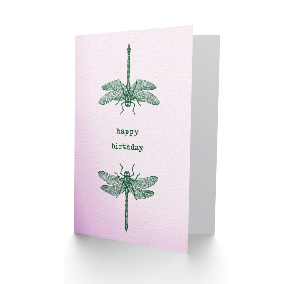 image 1 of Dragonfly Pair Insect Bug Vintage Style Drawing Birthday Card