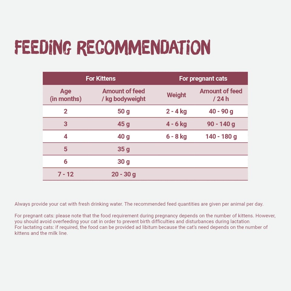 image 1 of Josera Kitten complete food | Growing kittens | Pregnant & nursing mothers | Optimal development | Omega 3 | Anti-Hairball | Gluten free | Skin & Coat | 0.4kg