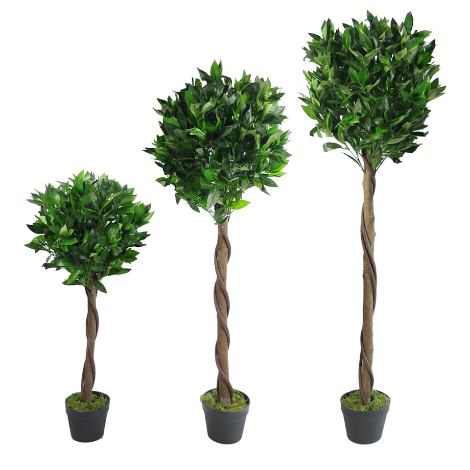 image 1 of Pair of 120cm (4ft) Twisted Stem Artificial Topiary Bay Laurel Ball Trees | Green | 4ft