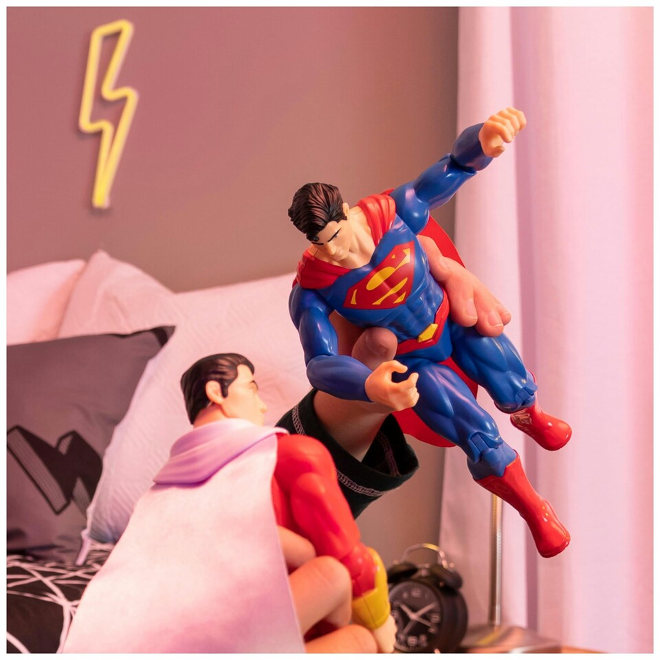 image 1 of DC Universe 12in Figure Assorted - ABGee - 231 6056278-A