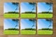image 2 of Beauty landscape of grass field with forest trees and environment public park with sun rays (Coaster)