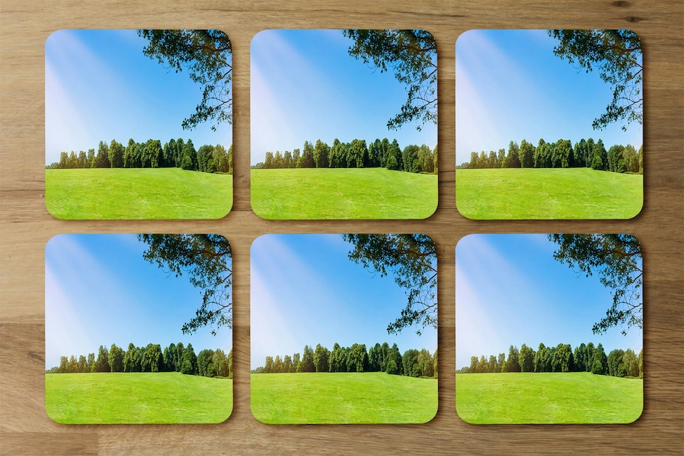 image 1 of Beauty landscape of grass field with forest trees and environment public park with sun rays (Coaster)