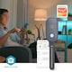 image 2 of Smartlife Soil Moisture Meter, Bluetooth Smart Sensor for Soil Moisture and Ambient Temperature Monitoring, Compatible with Smartlife App - Indoor/Outdoor Use - Grey